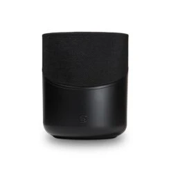 Kabelloser LautsprecherBluesound PULSE M (P230)4.421 Anzeigen