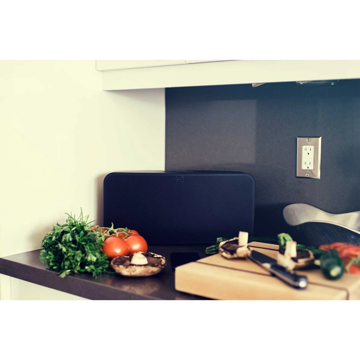 Kabelloser LautsprecherBluesound PULSE 2i5.010 Anzeigen – Bild 2